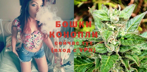 метамфетамин Ельня