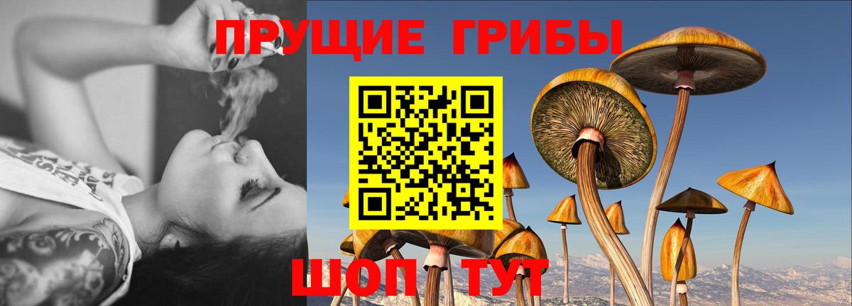 Псилоцибиновые грибы MAGIC MUSHROOMS  Славянск-на-Кубани 